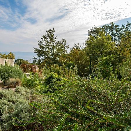 Villa Luce Labin  Exteriör bild